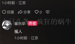 苏州最新爆料店名字,揭秘最新爆料店名背后的故事