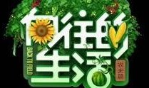 爆料树人改造视频播放,科技与自然的完美融合