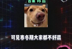 娱乐八卦吃瓜配图图片,吃瓜群众眼中的明星幕后故事