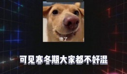 娱乐八卦吃瓜配图图片,吃瓜群众眼中的明星幕后故事